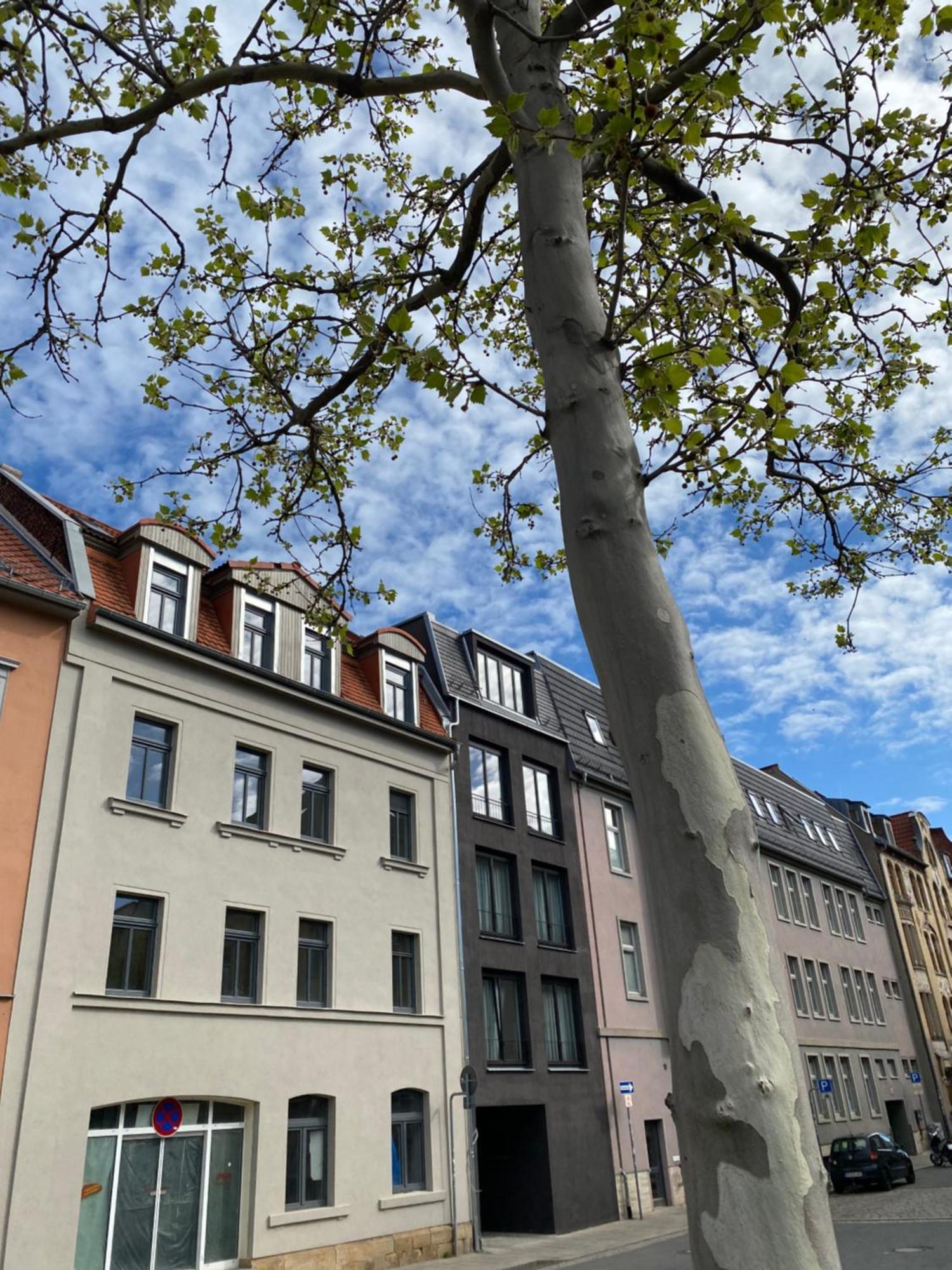 Eiwelhome - Stilvoll, Urban-Ruhig Schlafen, Bahnhofsnah, Balkon Erfurt Eksteriør bilde